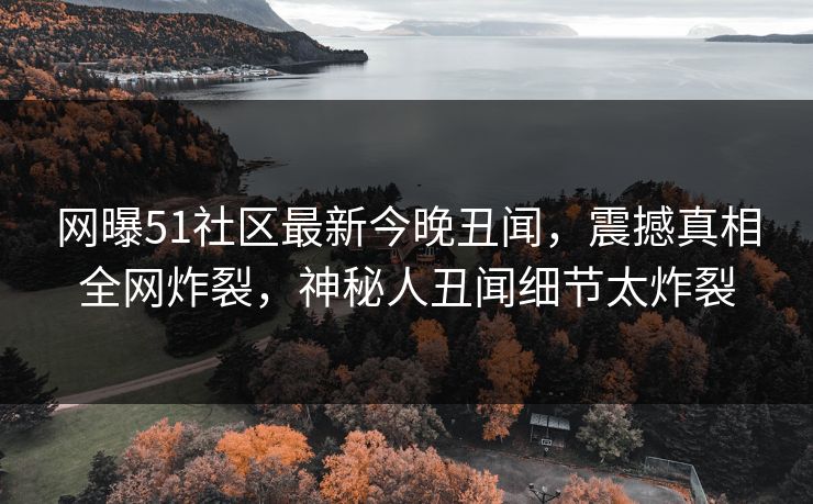 网曝51社区最新今晚丑闻，震撼真相全网炸裂，神秘人丑闻细节太炸裂