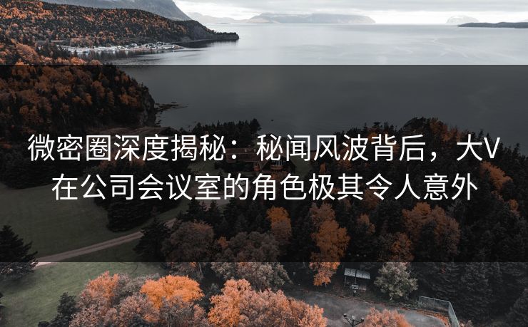 微密圈深度揭秘：秘闻风波背后，大V在公司会议室的角色极其令人意外