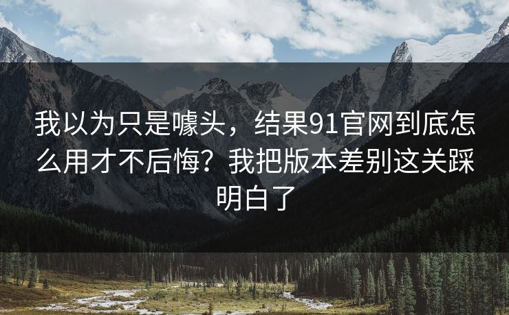 我以为只是噱头，结果91官网到底怎么用才不后悔？我把版本差别这关踩明白了