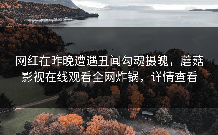 网红在昨晚遭遇丑闻勾魂摄魄，蘑菇影视在线观看全网炸锅，详情查看